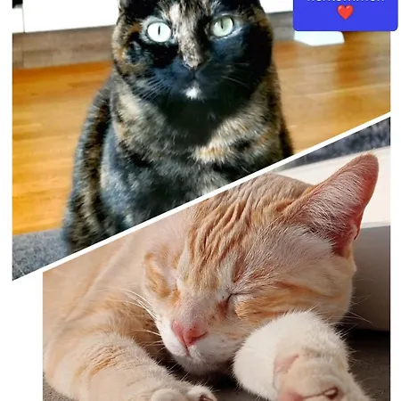 アパート Naehe Winterberg Upland *